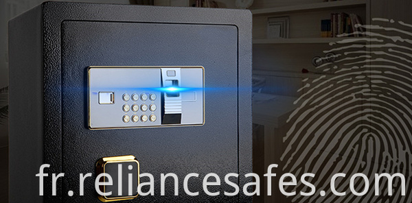 fingerprint safes